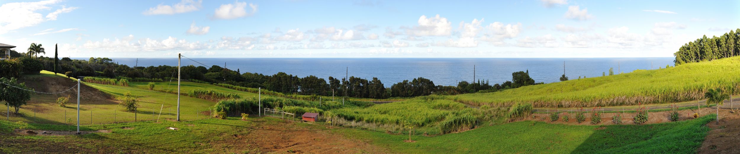 View from the house